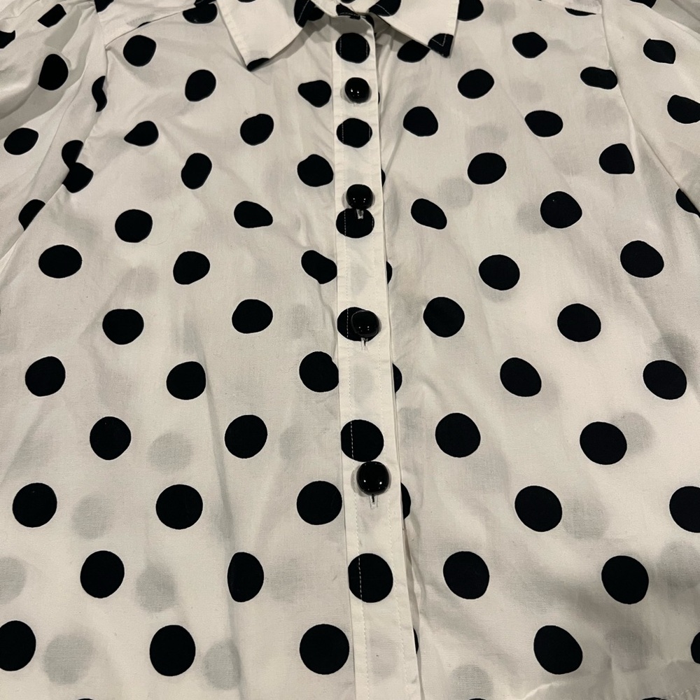 Zara Polka Dot Button-Up Cropped Blouse - Picture 3 of 6